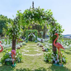 Arche de Jardin 255CM pour Plantes Grimpantes en Métal Décoration pour Fête