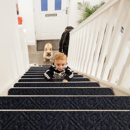 marchettes d'escalier pour les enfants, les personnes âgées et les chiens